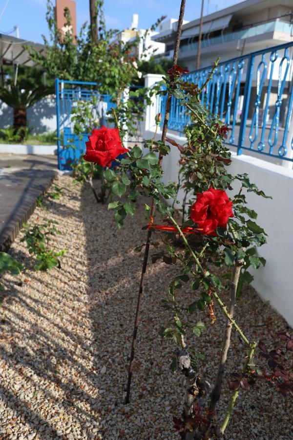 Traditional Town Garden Apartment Rhodes City Dış mekan fotoğraf